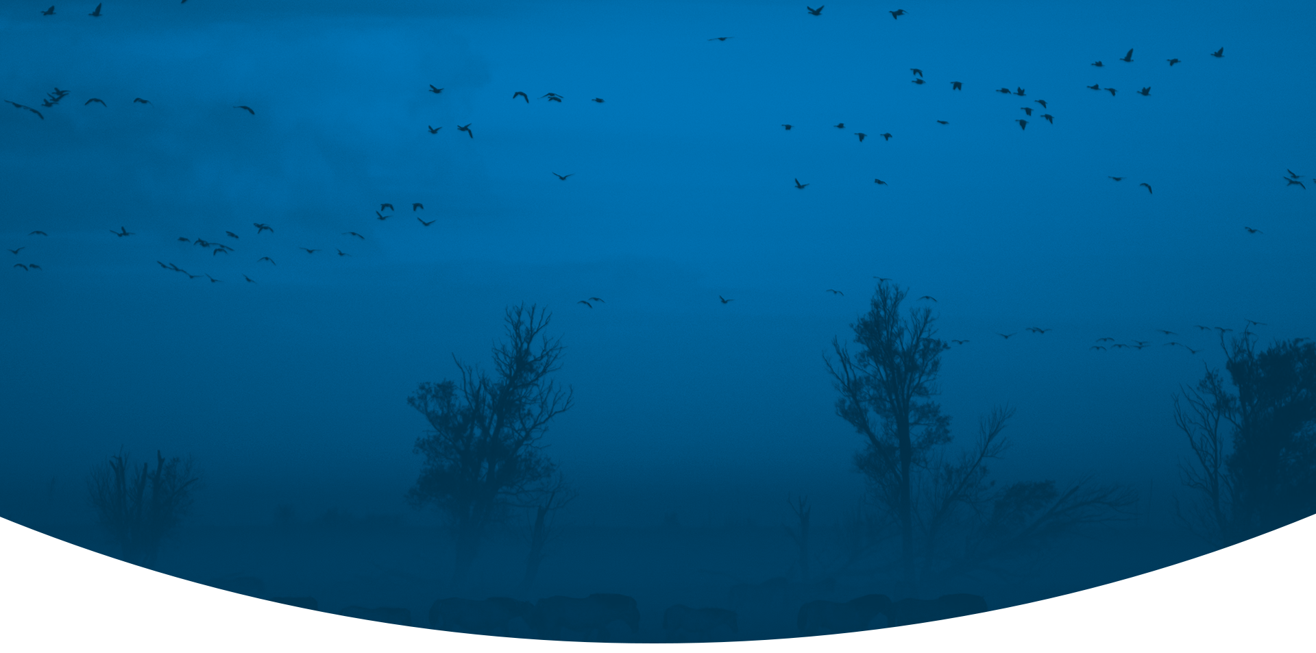 SSB_header