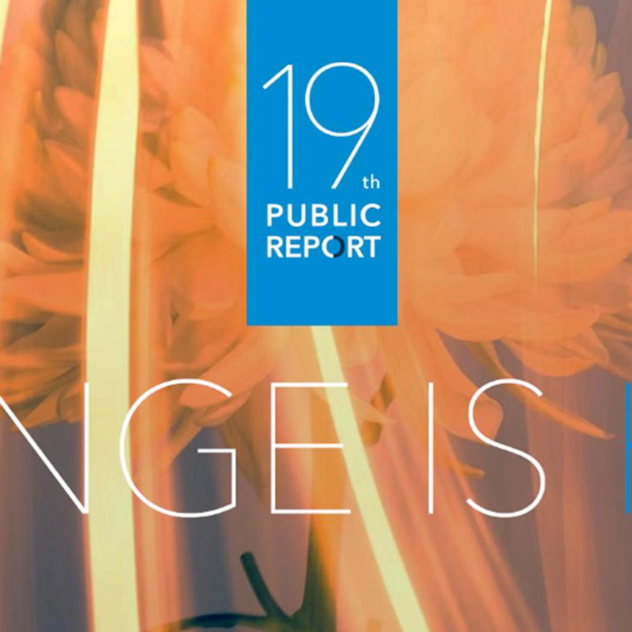 19th-public-report